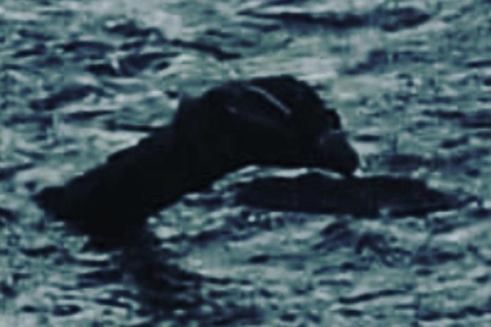 La presunta immagine di Nessie