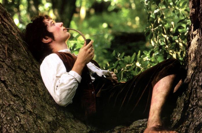 Elijah Wood è Frodo nella trilogia de Il Signore degli Anelli