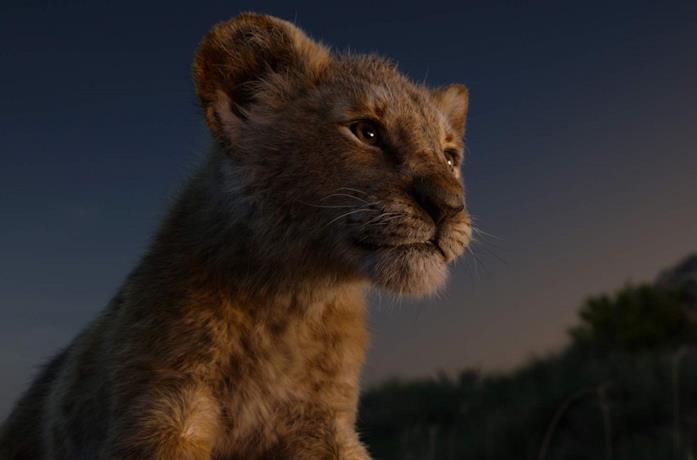 Un'immagine del film Disney Il re leone