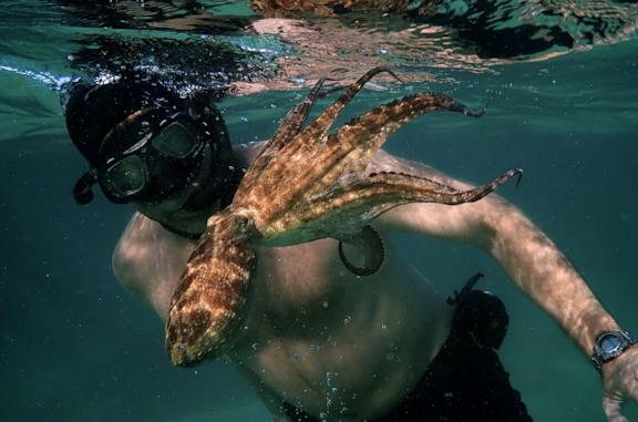 Giornata della Terra: 7 film e documentari da guardare