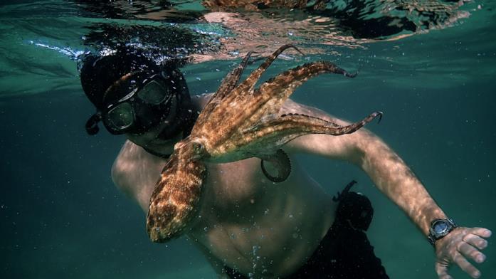 Un'immagine da Il mio amico in fondo al mare