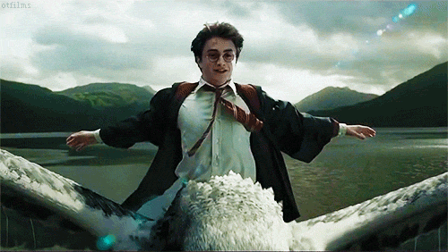GIF di Harry Potter che vola con l'ippogrifo Fierobecco