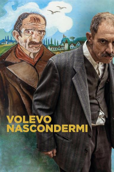 Poster Volevo nascondermi