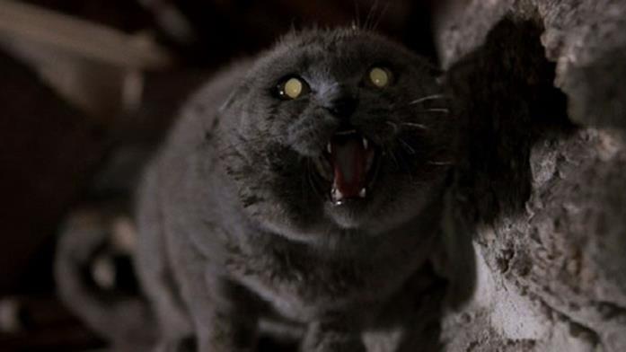 Una scena del film Pet Sematary dell'89