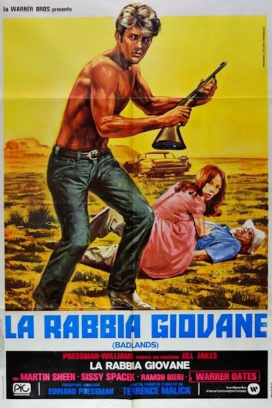 Poster La rabbia giovane