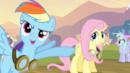 Anteprima L'uragano Fluttershy