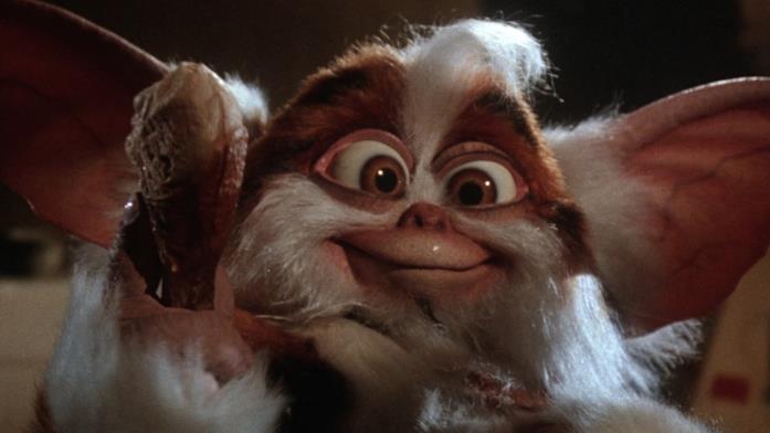 I Gremlins: istruzioni per l'uso Frame da I Gremlins