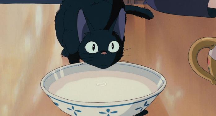 Jiji Jiji beve latte da una ciotola