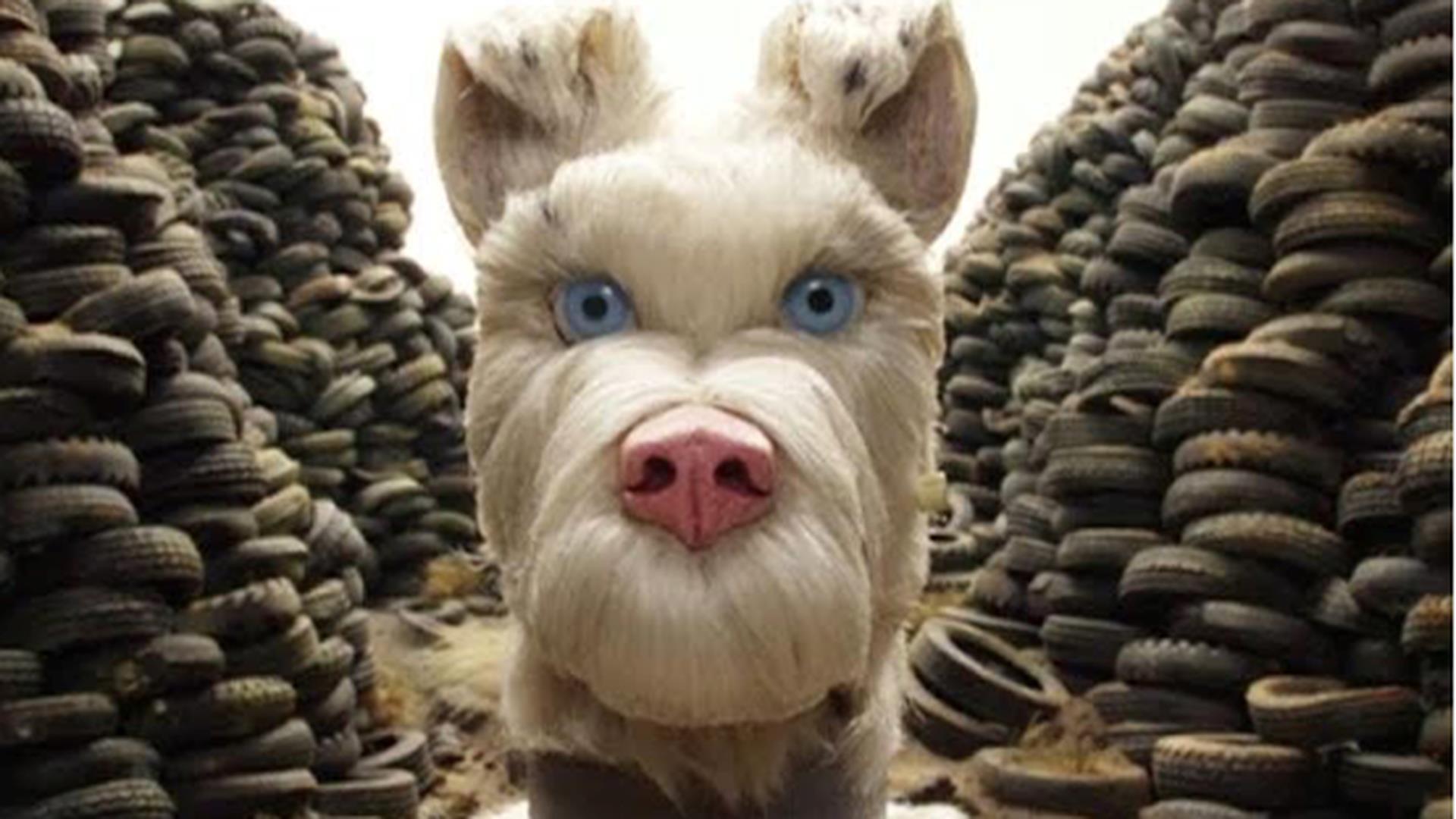 10 Film Con Cani Protagonisti