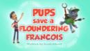 Anteprima I cuccioli salvano un agitato Francois