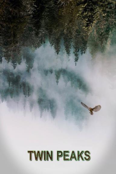 Poster I segreti di Twin Peaks