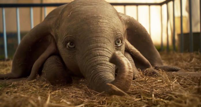 Dumbo Dumbo nel remake 2019