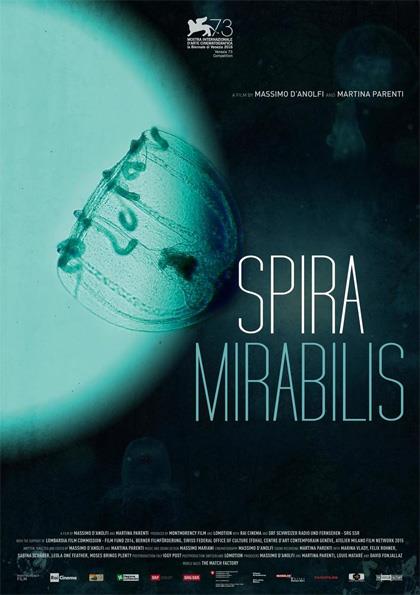 La recensione di Spira Mirabilis Spira Mirabilis, da Venezia ai cinema italiani