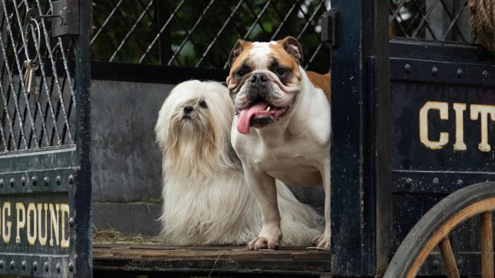 L'affascinante Gilda e il bulldog Bull Una scena di Lilli e il Vagabondo