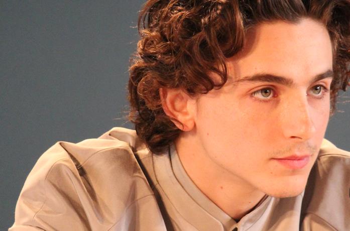 Timothée Chalamet Timothée Chalamet in conferenza stampa a Venezia 76