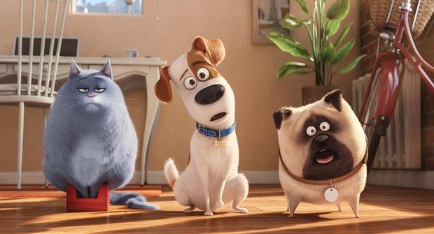 Pets Vita da Animali: i protagonisti