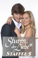 Stagione 5