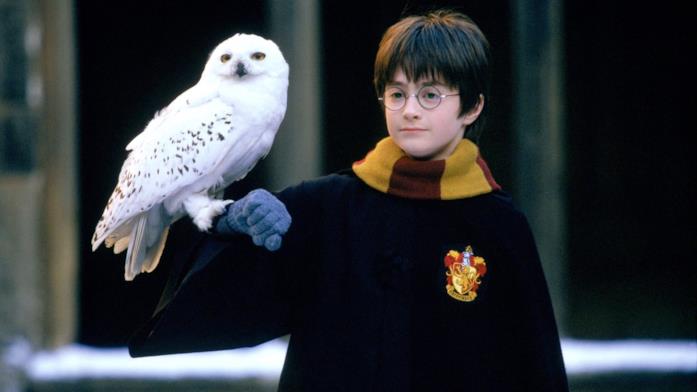 Harry Potter, il protagonista della saga letteraria e cinematografica Daniel Radcliffe in Harry Potter