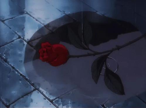 Cowboy Bebop: gli episodi da vedere prima del live-action di Netflix Una rosa rossa a terra