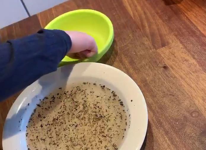 La figlia di Valokuvaaja Ari Mäkiö svolge l'esperimento sulla tensione superficiale
