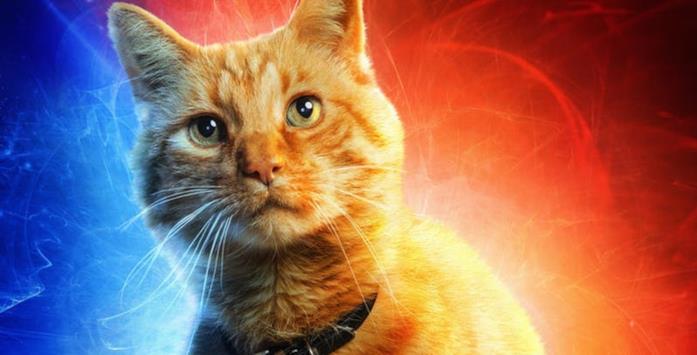 Un primo piano del gatto Goose nel poster di Captain Marvel