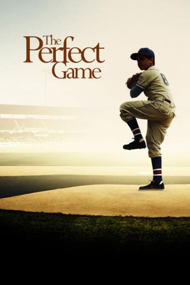 Poster La partita perfetta