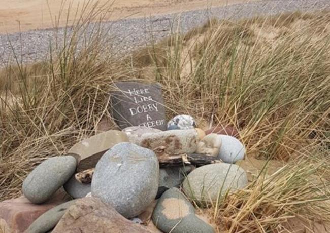 La tomba di Dobby, l'elfo domestico Lapide commemorativa in onore di Dobby, l'elfo domestico