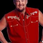 Larry the Cable Guy