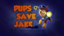 Anteprima I cuccioli salvano Jake