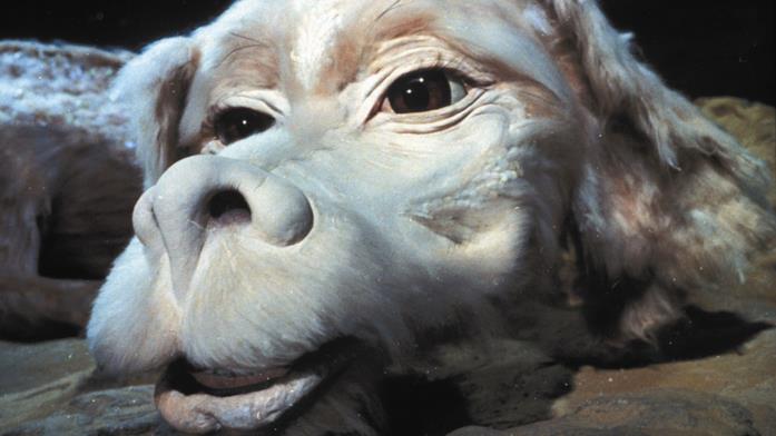La storia infinita: Falkor Falkor da La storia infinita