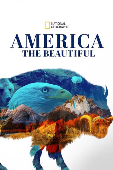 Poster America the Beautiful