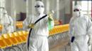 Anteprima La prossima pandemia