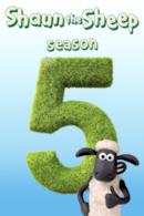 Stagione 5