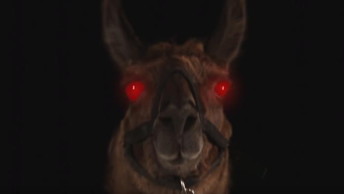 Louis il lama, protagonista dell'horror intitolato Llamageddon.