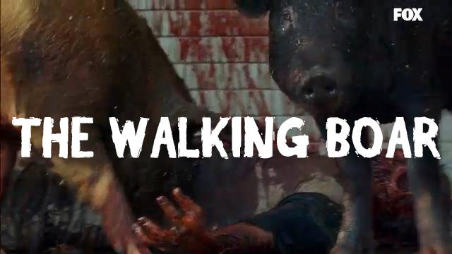 Cinghiali nel trailer della stagione 7 di The Walking Dead