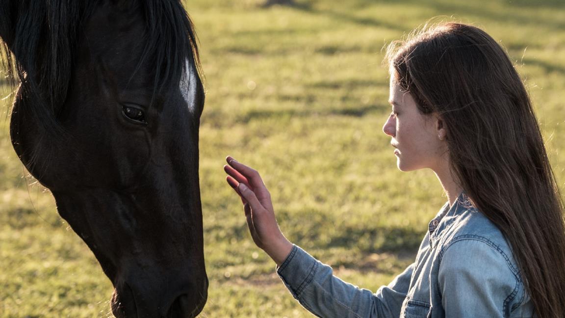 Black Beauty - Autobiografia Di Un Cavallo