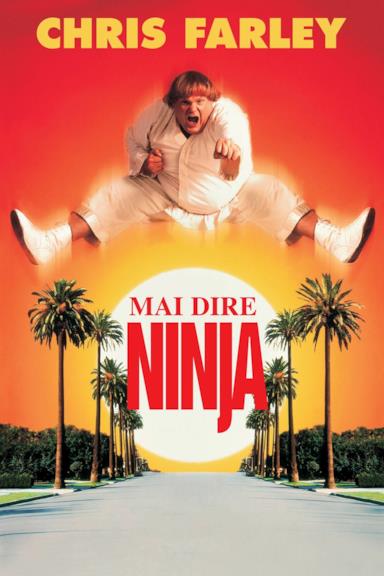 Poster Mai dire ninja