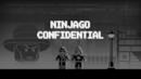 Anteprima Ninjago Confidential