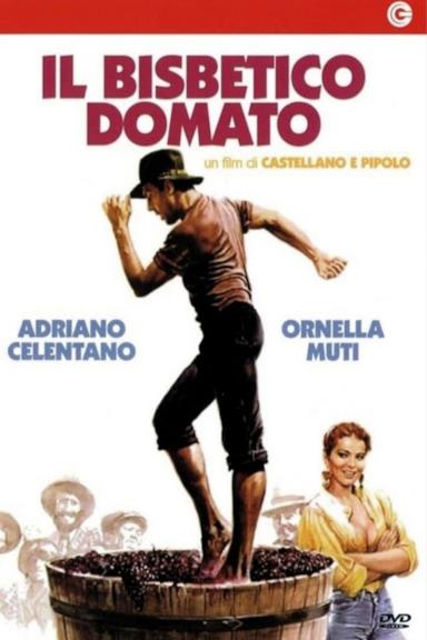 Poster Il bisbetico domato