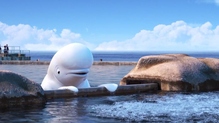 Bailey beluga Bailey
