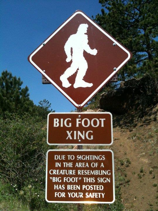 Un cartello che indica la possibilità di avvistamenti del Bigfoot Un cartello di attraversamento Bigfoot