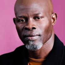 Djimon Hounsou