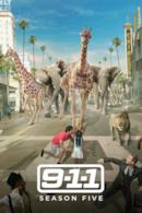 Stagione 5