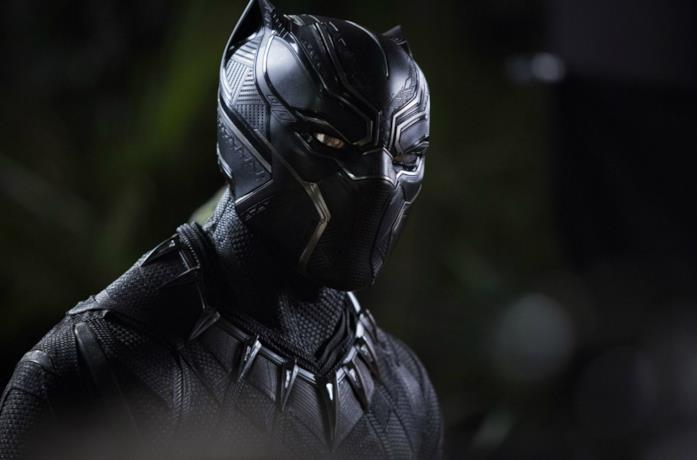 Un'immagine di Black Panther