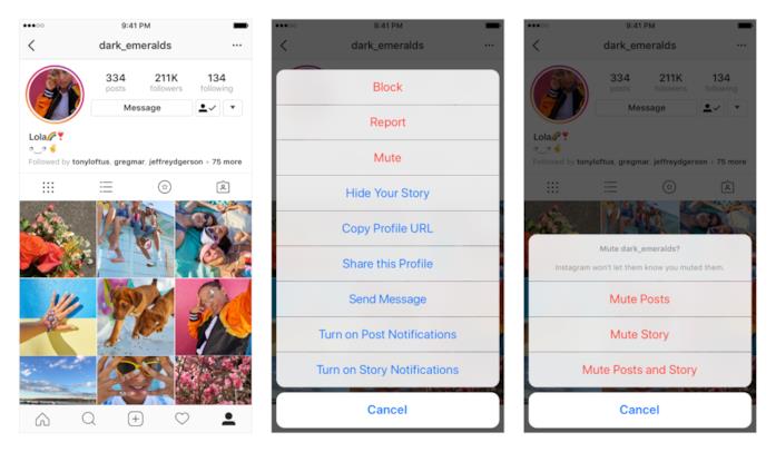 Attivare la funzione Mute dal profilo che si è decisi di silenziare Dettagli su come attivare la funzione Mute di Instagram dal profilo che si è decisi di silenziare