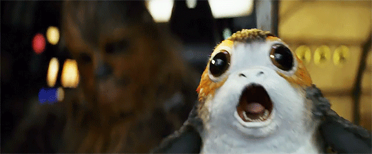 Porg in Episodio VIII