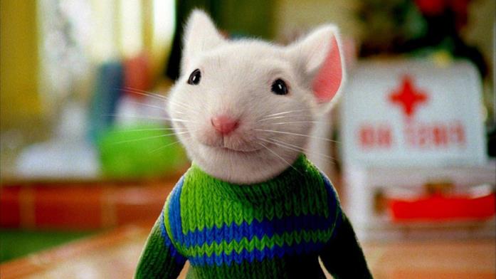 Stuart Little il topolino Il topolino Stuart Little