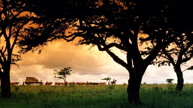 La mia Africa