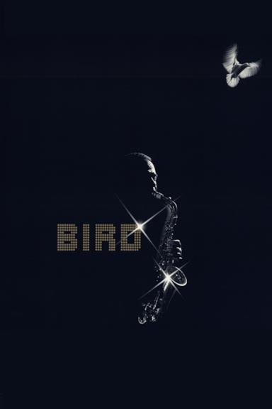 Poster Bird