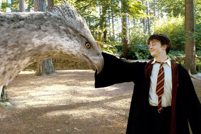 Harry Potter e Fierobecco in una scena del film
